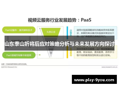 山东泰山折将后应对策略分析与未来发展方向探讨